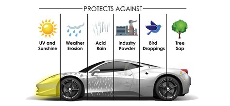 Does Ceramic Coating Protect Against Rock Chips? And Why Do Birds Suddenly Appear Every Time You Wax Your Car?