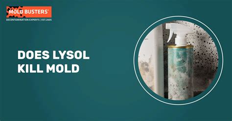 Does Lysol Disinfectant Spray Kill Mold: Exploring the Fungal Frontier and Beyond