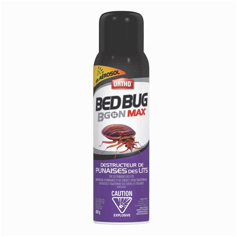 How Long Does Ortho Bed Bug Spray Last: A Dive into the Mysteries of Time and Insects