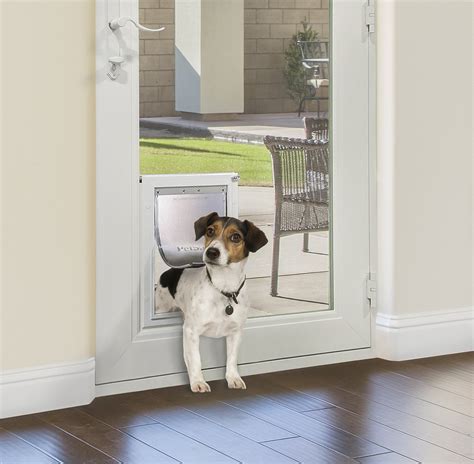 How to Install a Dog Door in a Glass Door and Why Your Cat Might Approve