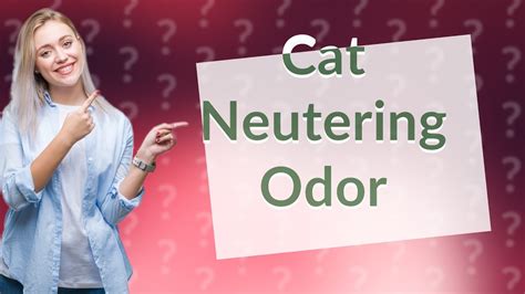 What Does Neutered Cat Spray Smell Like? And Why Does It Remind Me of Freshly Baked Bread?